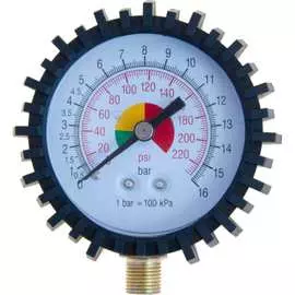Манометр NORM TCP-287M