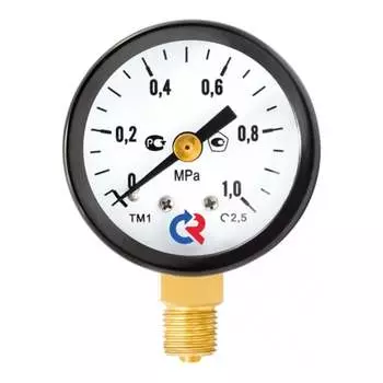 Манометр РОСМА тм-310р.00 D270-06651