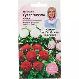 Маргаритка семена ОКТЯБРИНА ГАНИЧКИНА