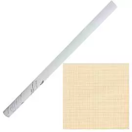 Масштабно-координатная бумага Staff