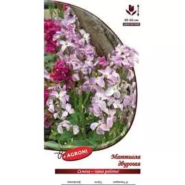 Маттиола семена Агрони