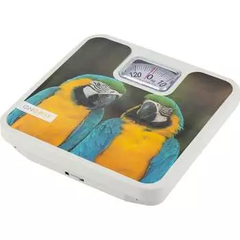 Механические напольные весы ENERGY