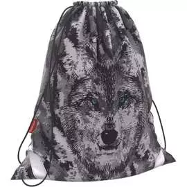 Мешок для обуви ErichKrause