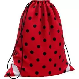 Мешок для обуви ErichKrause