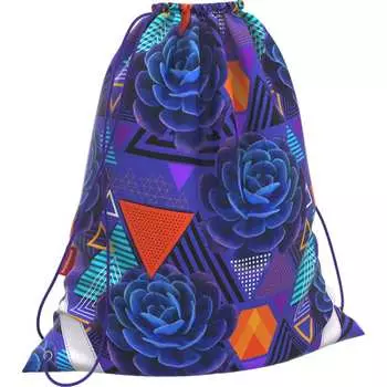 Мешок для обуви ErichKrause