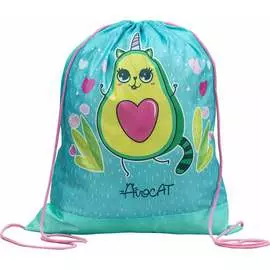 Мешок для обуви Пифагор