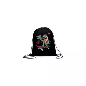 Мешок для обуви Пифагор 271606