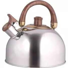 Металлический чайник Rainstahl