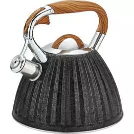 Металлический чайник Rainstahl