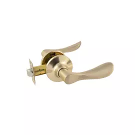 Дверная ручка ISPARUS