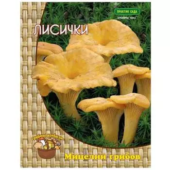 Мицелий Агрохолдинг ПОИСК Лисички 4601887152293