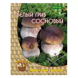 Мицелий Агрохолдинг ПОИСК Белый гриб сосновый 4601887286752