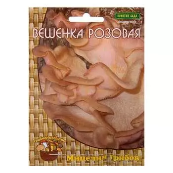 Мицелий ПОИСК