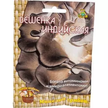 Мицелий ПОИСК