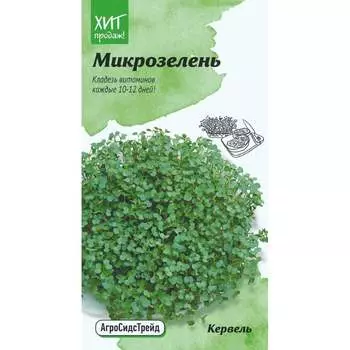 Микрозелень кервель семена Агросидстрейд АСТ 122780