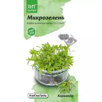 Микрозелень кориандр семена Агросидстрейд АСТ 121348