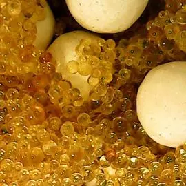 Микс ионообменная смола Ecvols SoftEx B+ 00.00010843