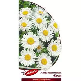 Многолетняя астра семена Агрони