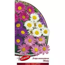 Многолетняя астра семена Агрони