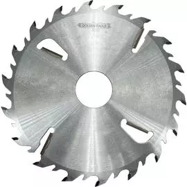 Многопильная дисковая пила Golden Eagle TL00001345