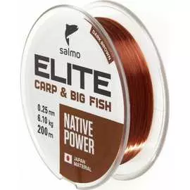 Монофильная леска Salmo Elite CARP & BIG FISH 200/025 4120-025
