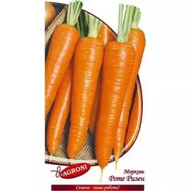 Морковь семена Агрони РОТЕ РИЗЕН 3639