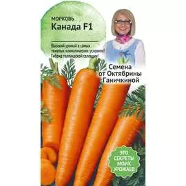 Морковь семена ОКТЯБРИНА ГАНИЧКИНА Канада F1 120151