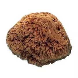 Морская натуральная губка VaiVen 09589