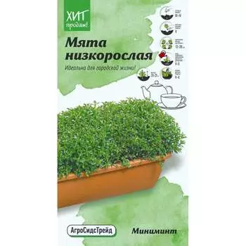Мята семена для выращивания в контейнере Агросидстрейд