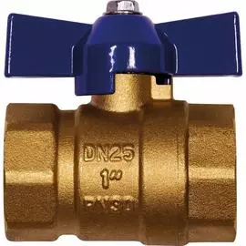 Муфтовый шаровой кран RM RML-1FFB