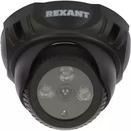 Муляж камеры REXANT RX-301 45-0301