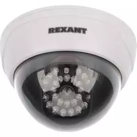 Муляж камеры REXANT RX-305 45-0305