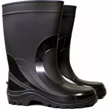 Мужские сапоги Дарина 10-У 4680019782829