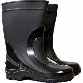 Мужские сапоги Дарина