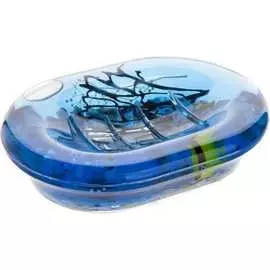 Мыльница Аквалиния