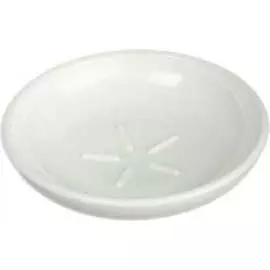 Мыльница Аквалиния