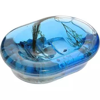 Мыльница VANSTORE