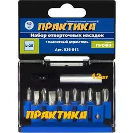 Набор бит ПРАКТИКА 036-513