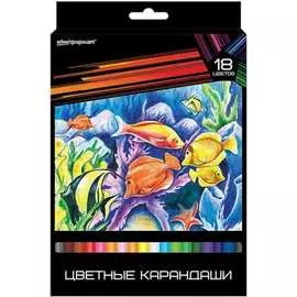 Набор цветных карандашей SCHOOLFORMAT