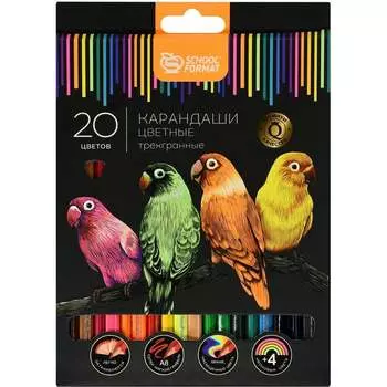 Набор цветных карандашей SCHOOLFORMAT