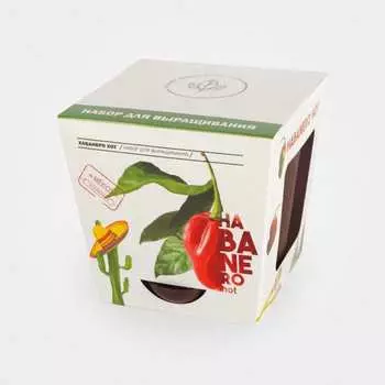 Набор для выращивания растений Plant Republic