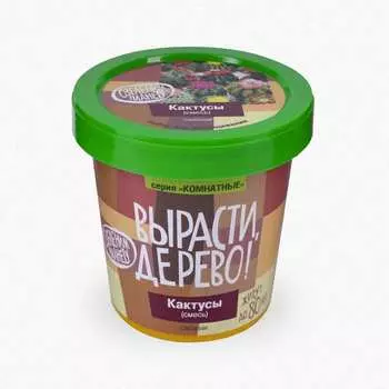 Набор для выращивания растений Вырасти,Дерево! Кактусы zk-045