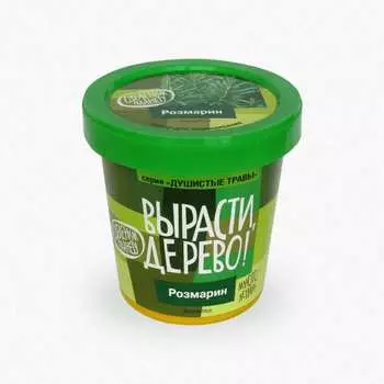 Набор для выращивания растений Вырасти,Дерево! Розмарин zk-036
