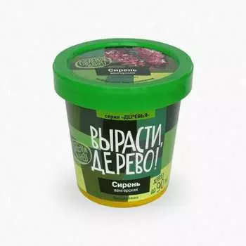Набор для выращивания растений Вырасти,Дерево! Сирень венгерская zk-053