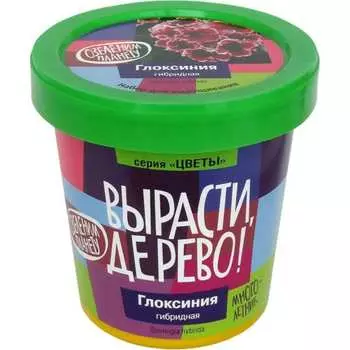Набор для выращивания растений Вырасти,Дерево! Глоксиния гибридная zk-067