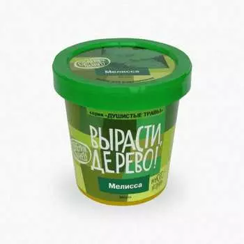 Набор для выращивания растений Вырасти,Дерево! Мелисса zk-035