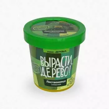 Набор для выращивания растений Вырасти,Дерево! Лиственница сибирская zk-049