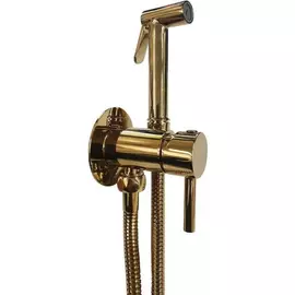 Набор гигиенического душа Paffoni ZDUP110HG 00239670