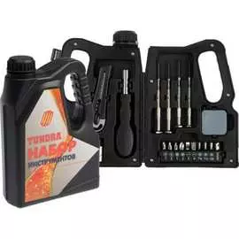 Набор инструментов ТУНДРА 7379044