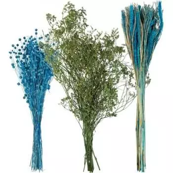 Набор из сухоцветов для составления букетов Стильный Дом 74204